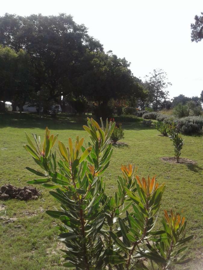 Willa Guinea Fowl Plettenberg Bay Zewnętrze zdjęcie